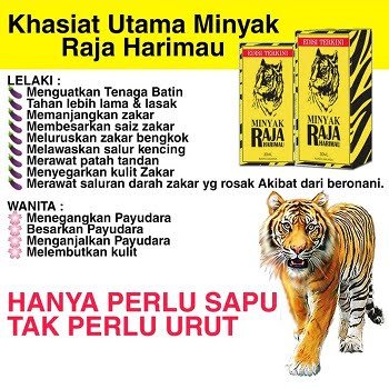 minyak lb raja harimau